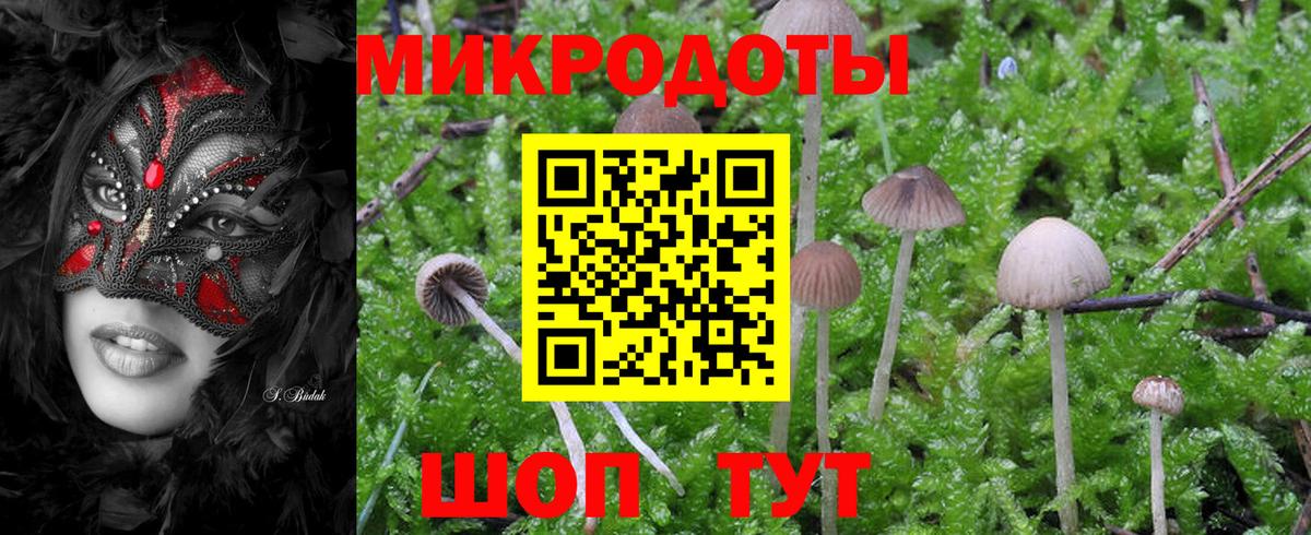 Псилоцибиновые грибы Magic Shrooms Сарапул