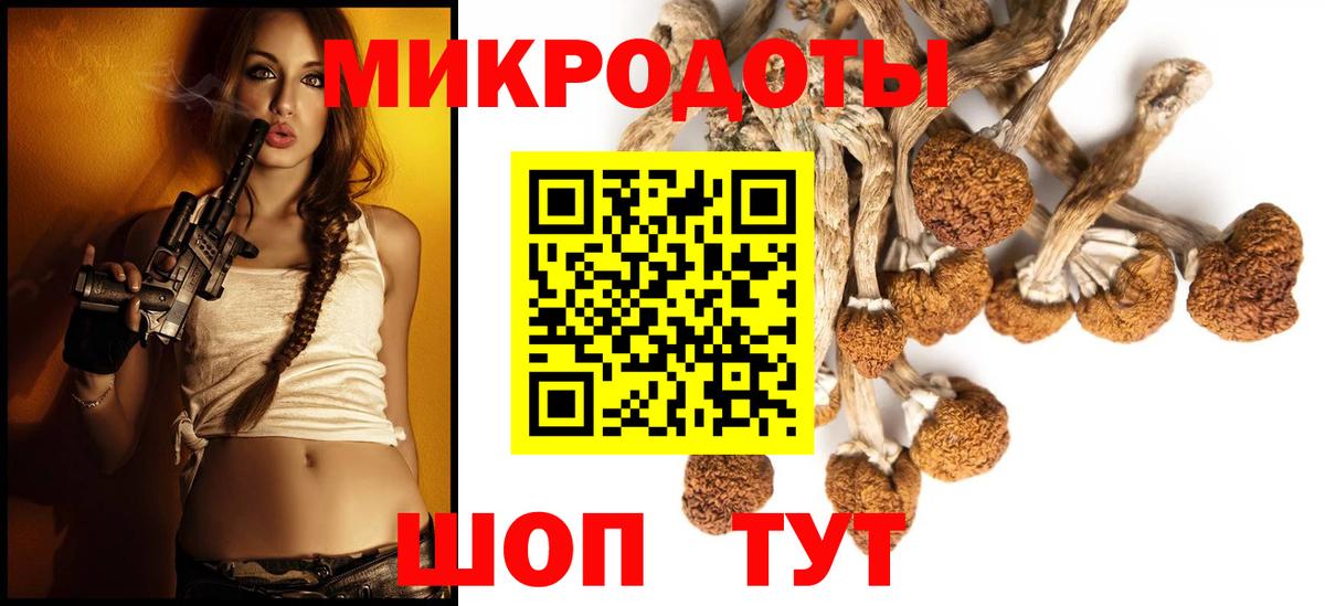 Сарапул  Галлюциногенные грибы Psilocybe  Вход с VPN 
